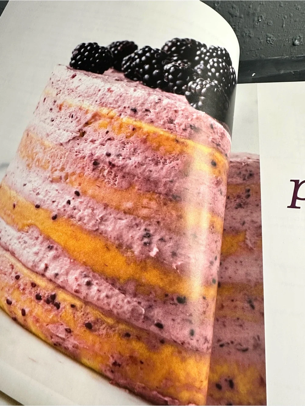 Americas Test Kitchen The Perfect Cake cookbook